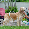 Douche De Toilettage Pour Animaux